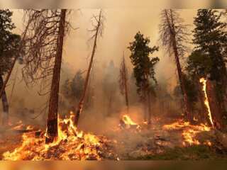 Intense heatwave grips parts of US; millions of Americans under heat warning