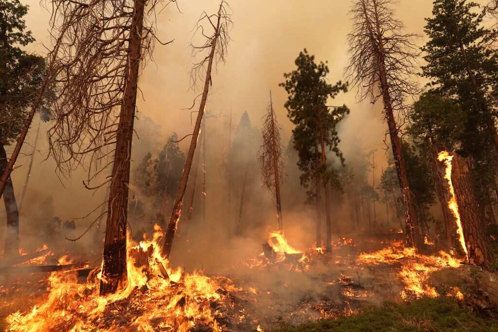 Intense heatwave grips parts of US; millions of Americans under heat warning