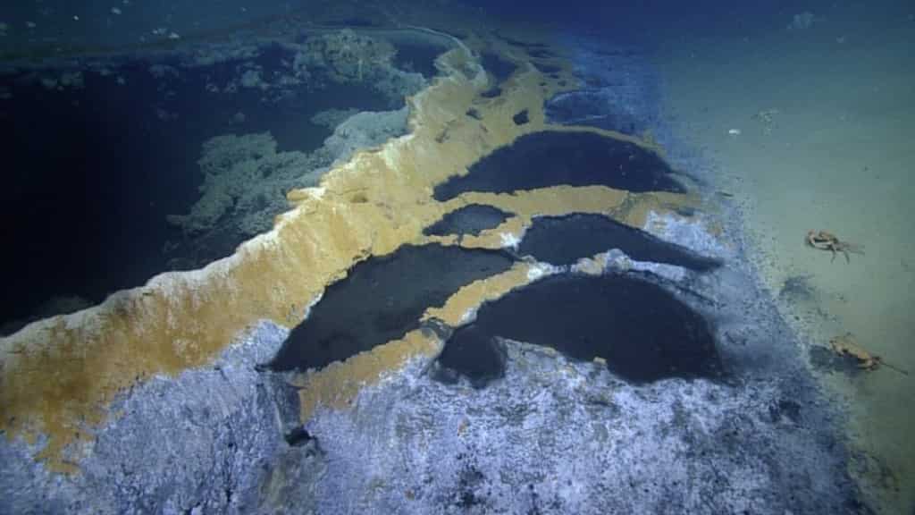 Newly discovered rare deep-sea brine pools can help look for ‘alien’ life elsewhere in the universe