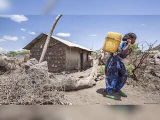 WION Climate Tracker | Climate change triggers gender-based violence | Scientists notice odd pattern