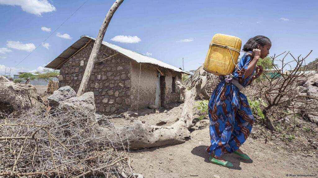 WION Climate Tracker | Climate change triggers gender-based violence | Scientists notice odd pattern