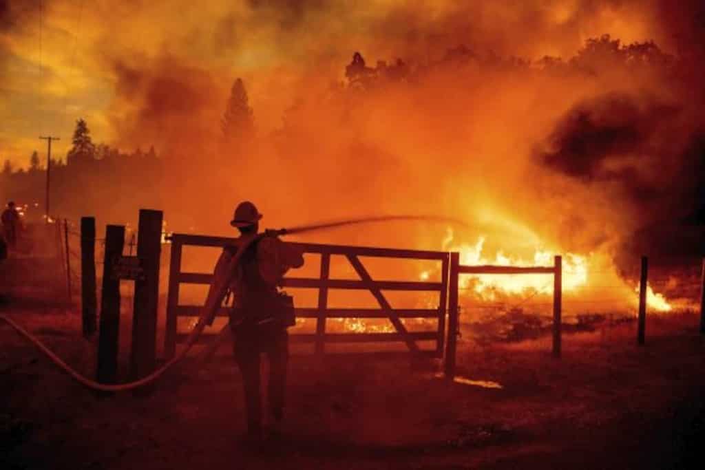 Wildfire blazes through 15,600 acres of land in California