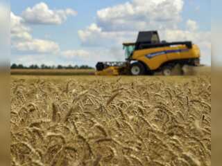 Ukraine works to resume grain exports, should begin again within days