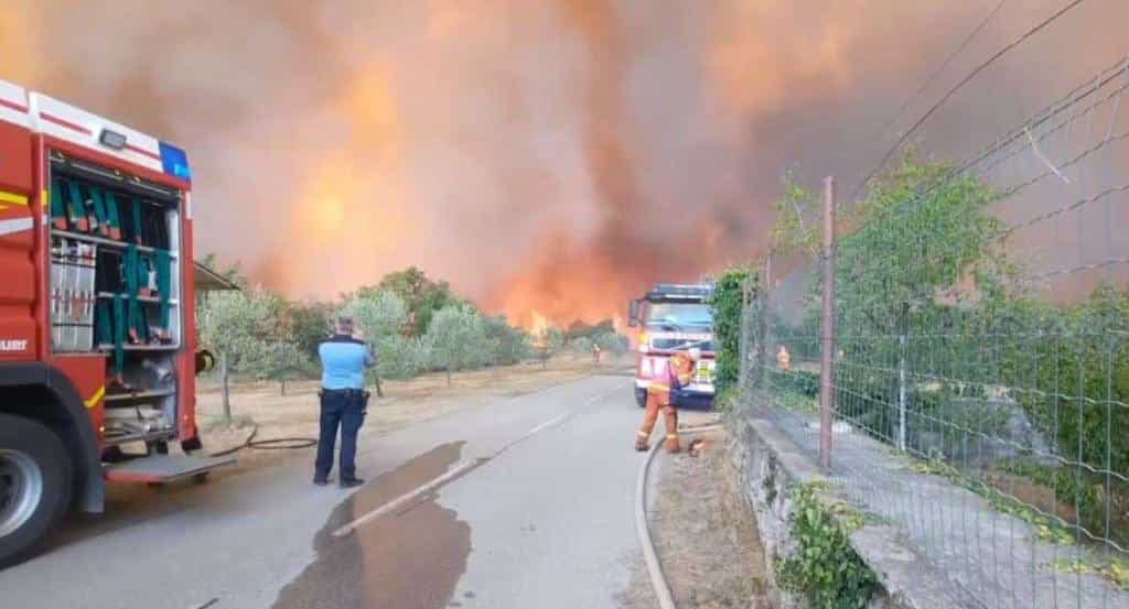 Wildfires detonating 100-year-old bombs from World War I in Slovenia