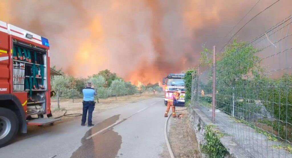 Wildfires detonating 100-year-old bombs from World War I in Slovenia