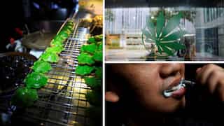 From milk tea to toothpaste, Thailand businesses profit from cannabis legalisation 