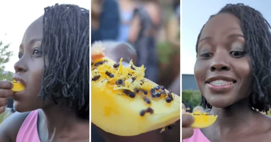 WION Fineprint: Black Panther actress tries eating ants