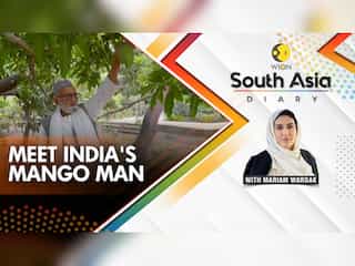 South Asia Diary: 300 mango varieties from one tree!