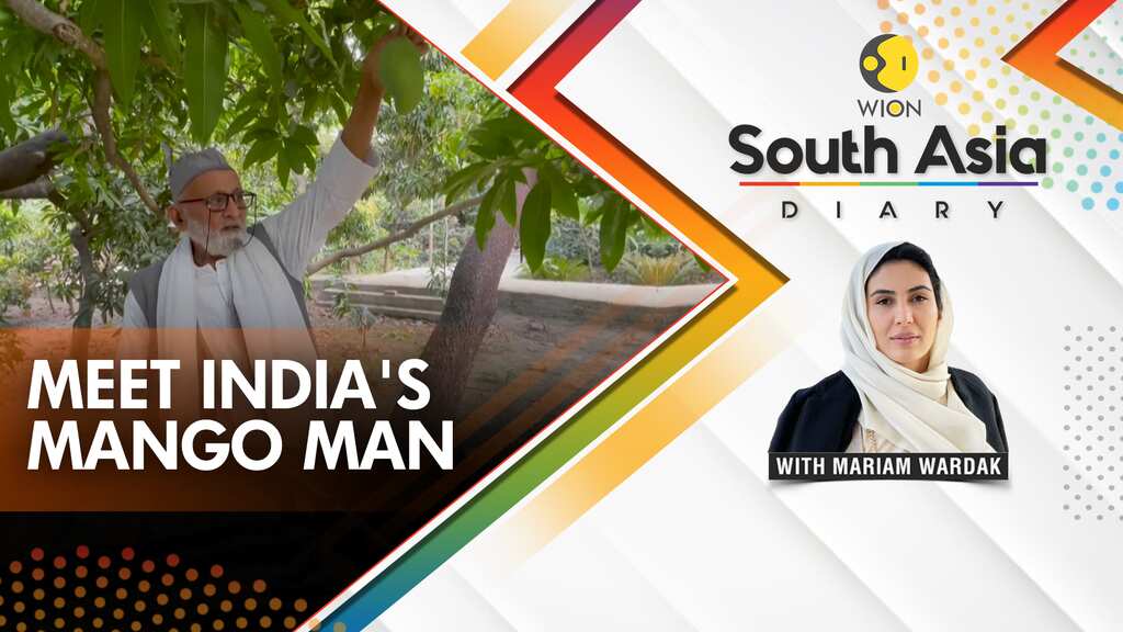 South Asia Diary: 300 mango varieties from one tree!