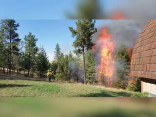 WION Climate Tracker | Washington's King County unveils wildfire action plan