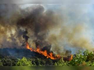 WION Climate Tracker | Herault region in Southern France at 'high' risk of fire