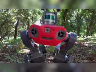 WION Climate Tracker | Dog-like robots deployed to monitor habitat health in Italy