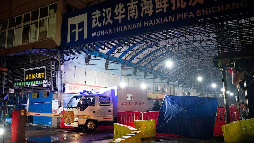 Study: The COVID-19 virus originated from Wuhan wet market