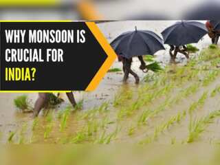 How important is the monsoon for the Indian economy?