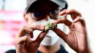 In Morocco hills, cannabis farmers bet on budding industry