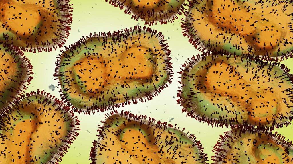 WHO recommends gay and bisexual men limit their sexual partners amid the Monkeypox outbreak