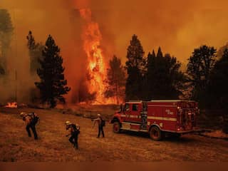 California forest fire slows down, nearly 3800 people allowed to return to their homes