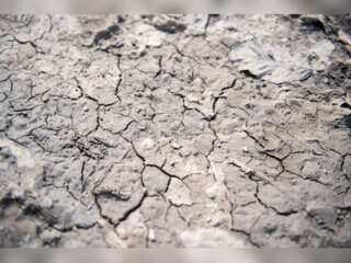 WION Climate Tracker| Drought devastates Hungarian agriculture; lack of rain damages crops