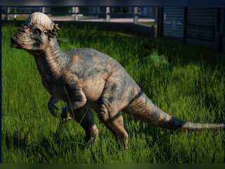 One of the most valuable Dinosaurs sold at Sotheby's auction