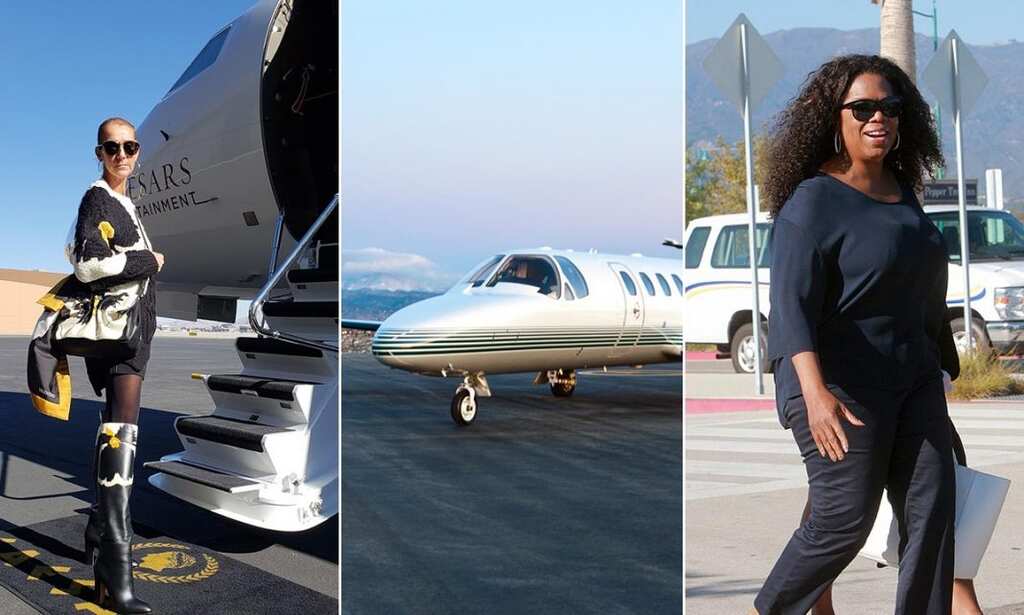 WION Fineprint: Paper straws for you, private jets for celebs?