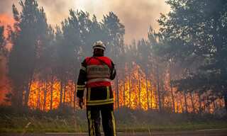 Pyromaniac fireman lights up the jungles to seek adrenaline rush and avoid family