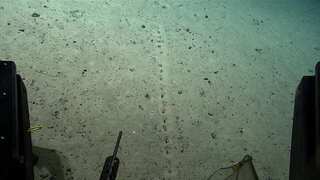 Mysterious 'alien' holes discovered on ocean floor leave scientists puzzled