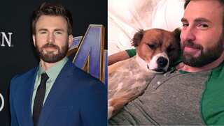 Chris Evans lists dog lover among important criteria of future girlfriend