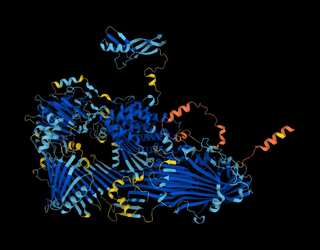 Major scientific breakthrough: Google’s AI firm releases 3D view of protein universe