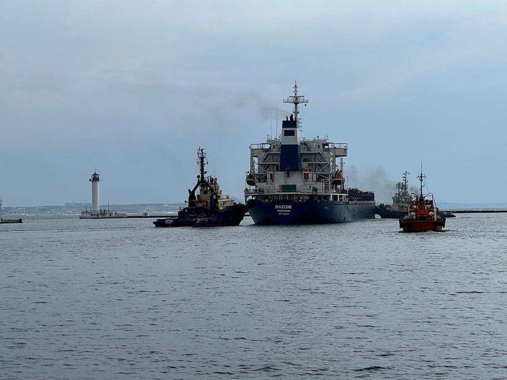 First ship carrying Ukrainian grain leaves Odessa Port