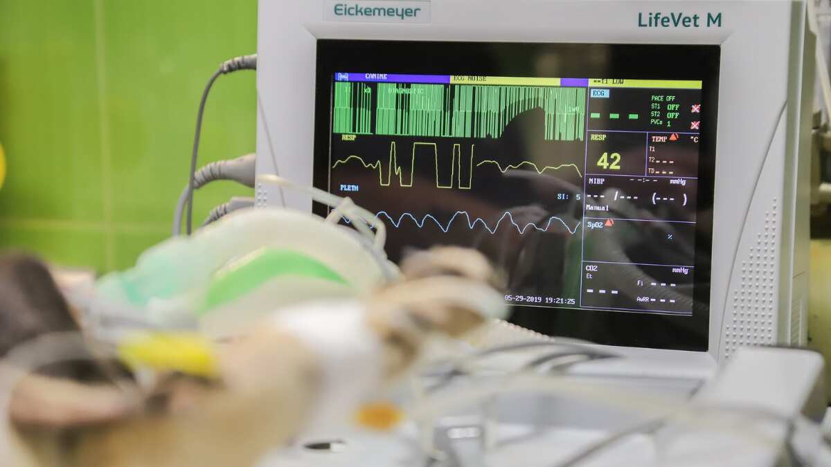 After 25 years, Australia mulls lifting euthanasia ban