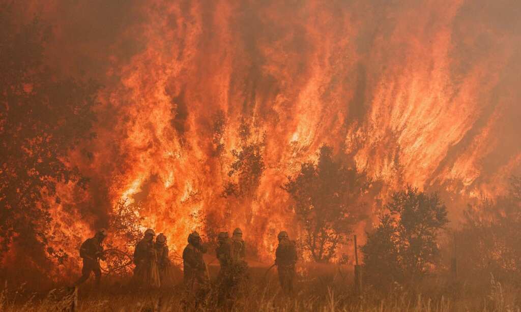 WION Climate Tracker: New wildfire erupts near Madrid | Firefighters battle blazes across Italy