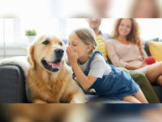 WION Fineprint: Can artificial intelligence really help us talk to animals?