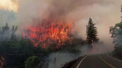 WION Climate Tracker | Two dead as California’s McKinney fire spreads rapidly