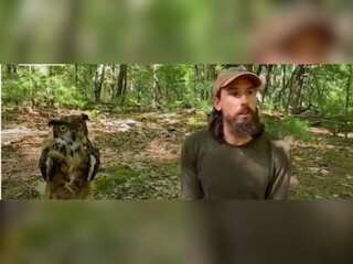 WION Climate Tracker | Robotic Owl helps scientists research on Merlin Falcon