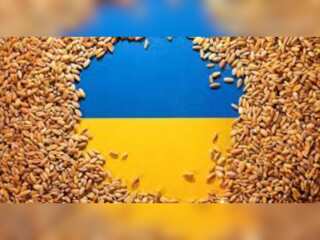 First Ukrainian grain ship reaches Turkiye