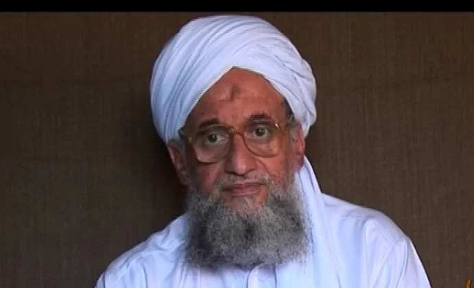 Al-Qaeda chief killed in US air strike in Kabul