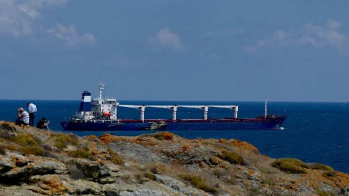 First Ukrainian grain shipment completes checks in Turkey