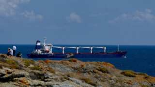 First Ukrainian grain shipment completes checks in Turkey