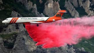 US: Man arrested on suspicion that he started wildfire while trying to burn spider with lighter