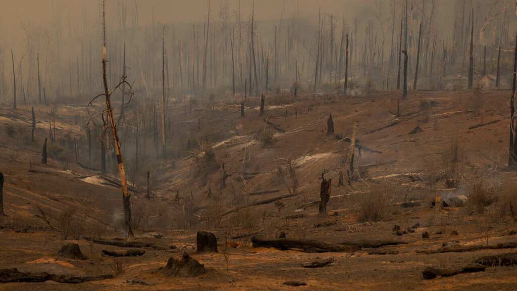WION Climate Tracker | Climate researchers warn of catastrophe again