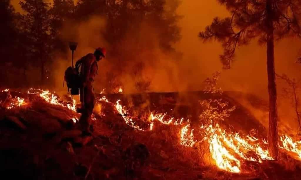 WION Climate Tracker | Fire threatens coastal town of Vodice | Authorities cordon off affected areas