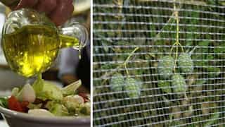 Explained: How deadly heatwaves are affecting Spain's 'green gold' harvest