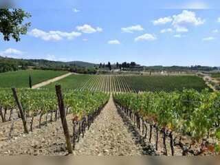 Italy faces climate change