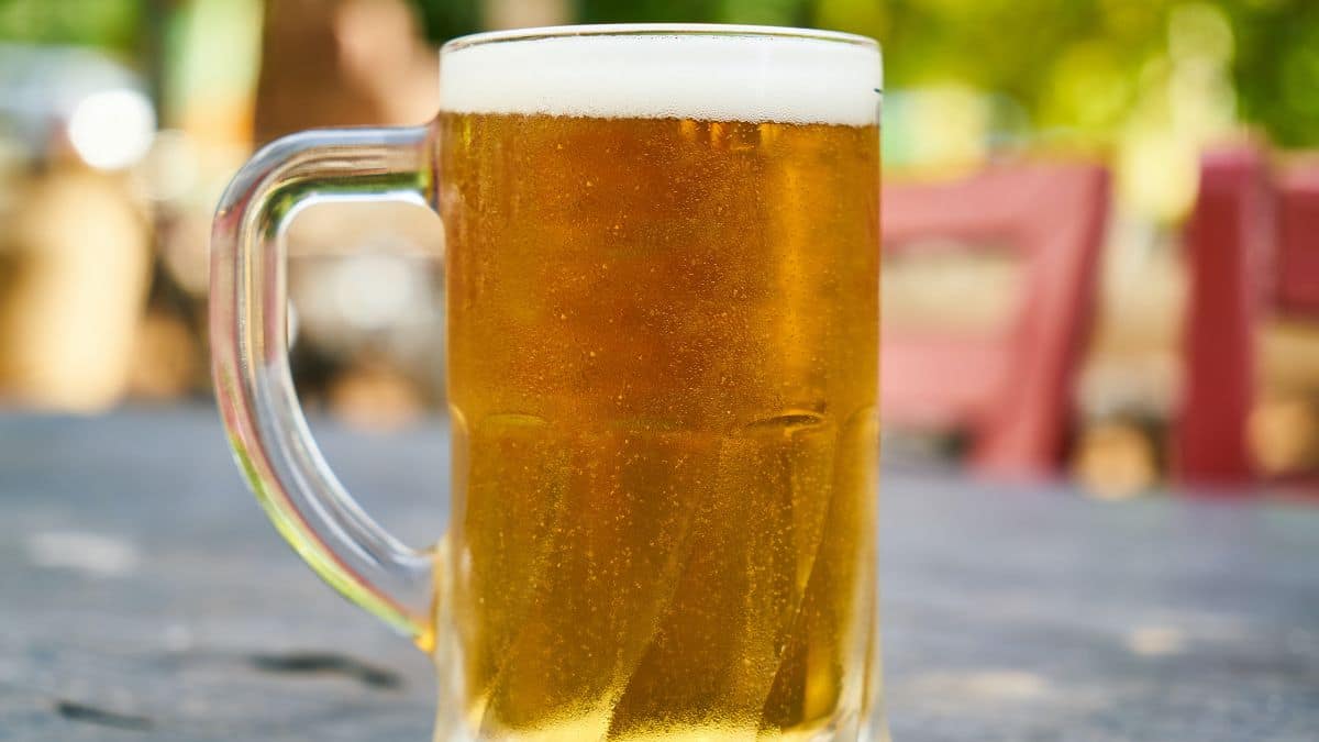 Know why peanuts sink and float when dropped in a pint of beer