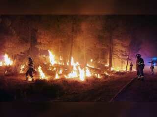 WION Climate Tracker: Explosion at detonation site triggers wildfire near Berlin