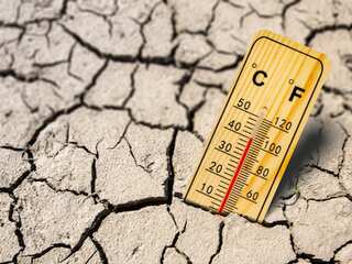 WION Climate Tracker: Europe bakes in 3rd heat wave since June