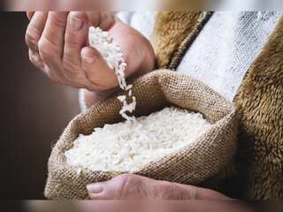 WION Climate Tracker: Italy's rice production is drying up| Saline water triggers anxiety in farmers