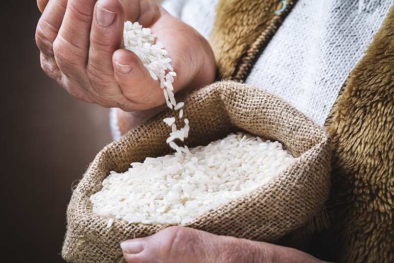 WION Climate Tracker: Italy's rice production is drying up| Saline water triggers anxiety in farmers