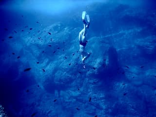 WATCH: Deadly pool discovered at bottom of Red sea, that can kill or even pickle animals alive