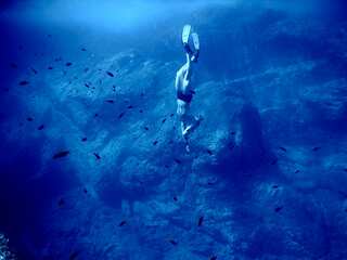 WATCH: Deadly pool discovered at bottom of Red sea, that can kill or even pickle animals alive